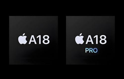 关于苹果16尺寸最新爆料,最新爆料揭示惊人尺寸变化! 第3张 关于苹果16尺寸最新爆料,最新爆料揭示惊人尺寸变化! 第3张